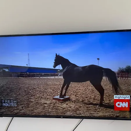 New & Comfortable 7sun Near Sandy Daire